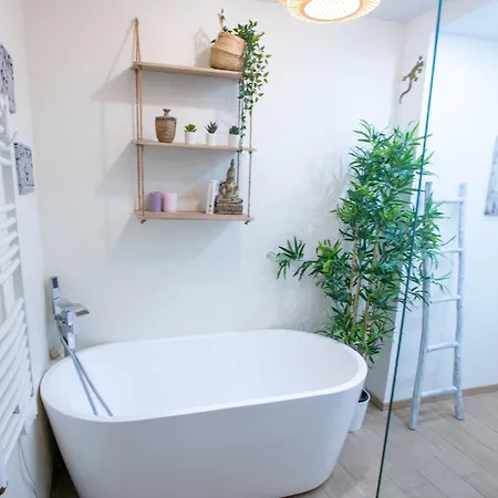 Le Coccon Entre Cambo Et Lardenne Appartement Toulouse